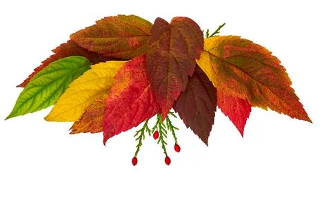 Autumn composition. Frame made from orange, red and green leaves. Stock Photos