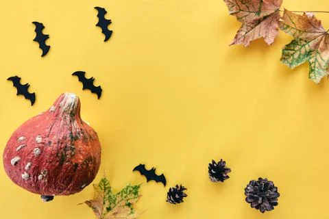 Autumn composition. Frame made of Pumpkins,dried leaves, pine cones and bats  Stock Photos