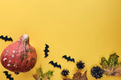 Autumn composition. Frame made of Pumpkins,dried leaves, pine cones and bats  Stock Photos