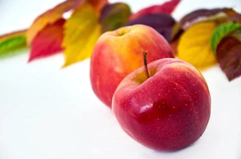 Autumn composition. Frame of orange, red, green leaves and red apples. Isolat Foto stock