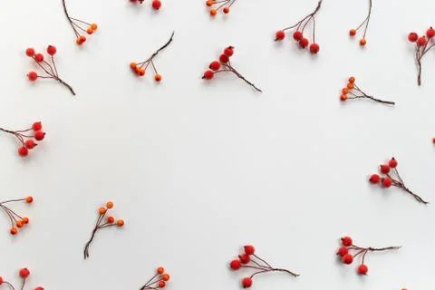 Autumn composition frame Paper colored branches berries on white background T Stock Photos