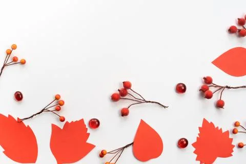 Autumn composition frame Paper colored leaves branches berries on white backg Stock Photos