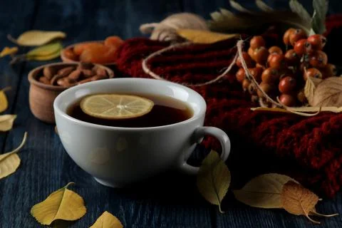 Autumn composition with hot tea nuts berries and autumn yellow leaves on a da Stock Photos