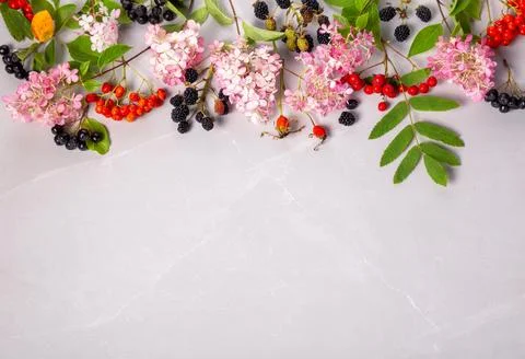 Autumn composition with hydrangea flowers, berries of aronia, rowan, blackberry Foto stock