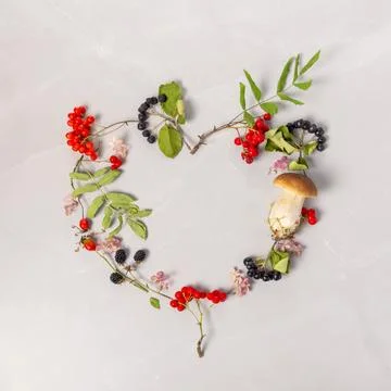 Autumn composition with hydrangea flowers, berries of aronia, rowan, blackberry 写真素材