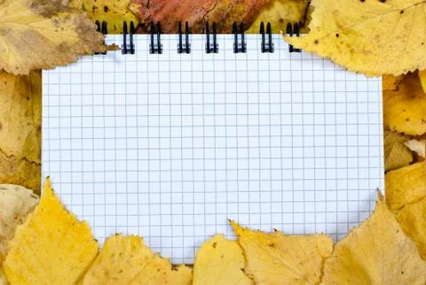Autumn composition  indoor  . Stock Photos