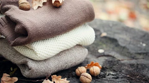 Autumn composition with knitting clothes on an old tree stump in autumn forest Stock Footage 56229522