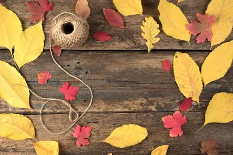 Autumn composition of leaves and threads in a ball on a natural wooden Stock Photos