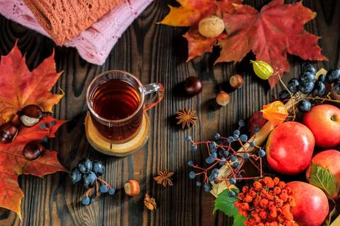 Autumn composition with a mug of tea, autumn leaves, fruit and nuts Stock Photos
