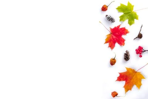 Autumn composition. Multi-colored maple leaves: red, green and yellow with sp 스톡 사진