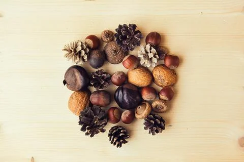 Autumn composition with nuts, chestnuts, wallut shells and pine cones on wood Stock Photos