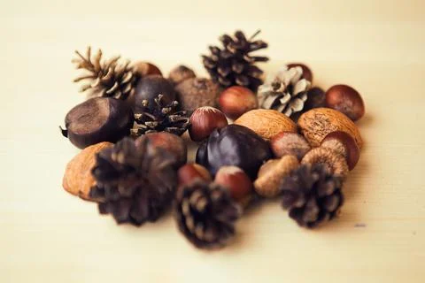 Autumn composition with nuts, chestnuts, wallut shells and pine cones on wood Stock Photos