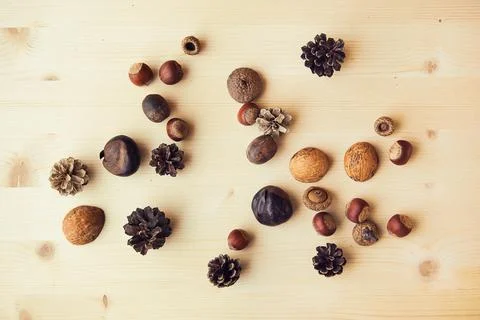 Autumn composition with nuts, chestnuts, wallut shells and pine cones on wood Foto stock