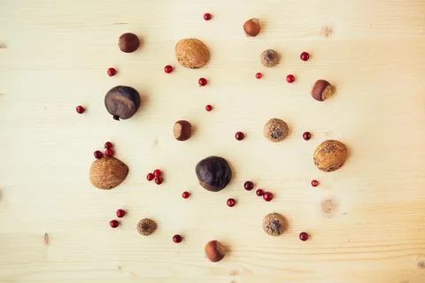 Autumn composition with nuts, chestnuts, wallut shells and pine cones on wood Stock Photos