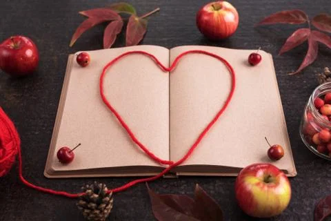 Autumn composition with an old empty book Stock Photos
