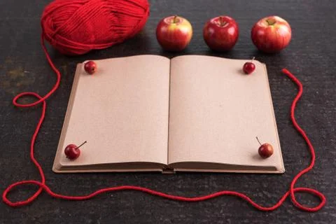 Autumn composition with an old empty book Stock Photos