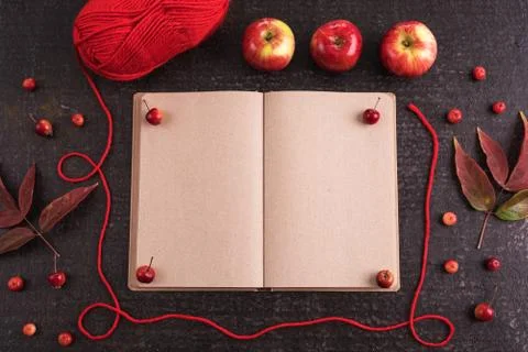 Autumn composition with an old empty book Foto stock