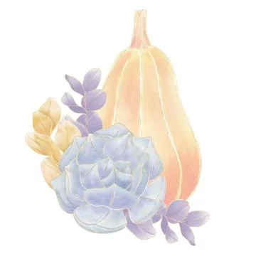 Autumn composition, an orange pumpkin decorated with a succulent flower and a Stock Illustration