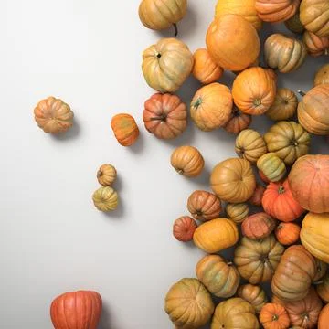 Autumn composition of orange pumpkins on white table background. Stock Illustration