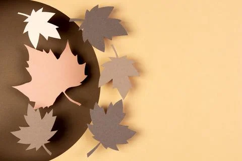 The autumn composition paper style Stock Photos