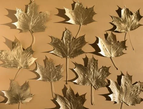 Autumn composition. Pattern made of autumn golden marple leaves on nude color Stock Photos
