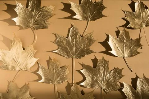 Autumn composition. Pattern made of autumn golden marple leaves on nude color Stock Photos