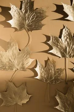 Autumn composition. Pattern made of autumn golden marple leaves on nude color Stock Photos