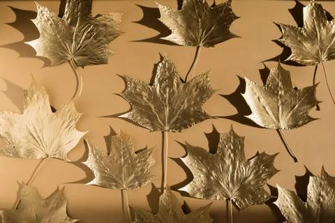 Autumn composition. Pattern made of autumn golden marple leaves on nude color Stock Photos