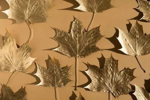 Autumn composition. Pattern made of autumn golden marple leaves on nude color Stock Photos
