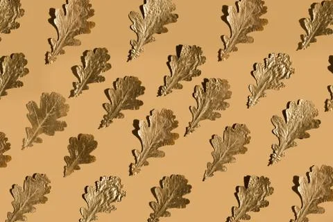 Autumn composition. Pattern made of autumn golden oak leaves on nude color Stock Photos