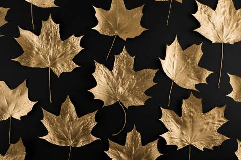 Autumn composition. Pattern made of autumn golden marple leaves on black Stock Photos