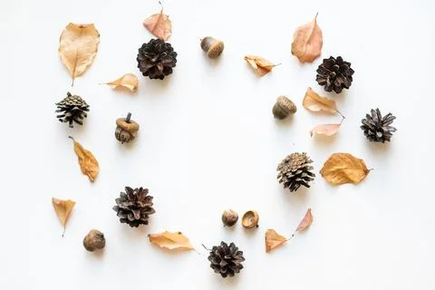 Autumn composition. Pattern made of autumn leaves, acorn, pine cones. Flat lay Foto stock