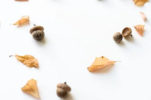 Autumn composition. Pattern made of autumn leaves, acorn, pine cones. Flat lay Foto stock