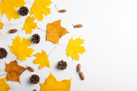 Autumn composition. Pattern made of autumn leaves. Flat lay, top view, copy s Stock Photos