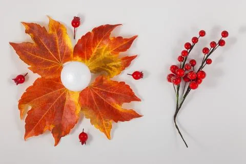 Autumn composition. Pattern made of dried leaves on white background. Autumn, 写真素材