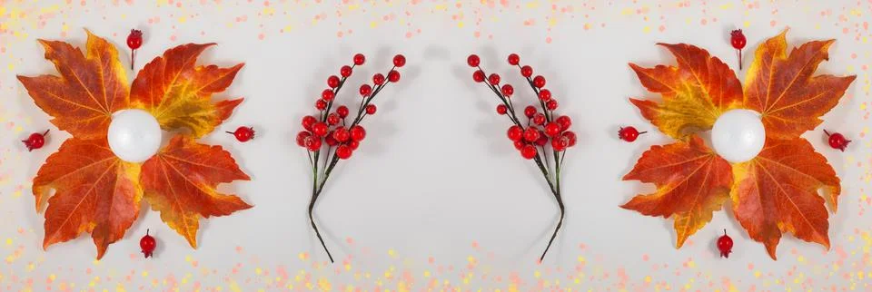 Autumn composition. Pattern made of dried leaves on white background. Autumn, Stock Photos