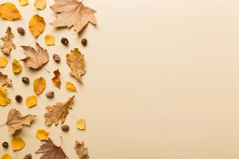 Autumn composition. Pattern made of dried leaves and other design accessories Stock Photos