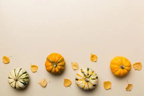 Autumn composition. Pattern made of dried leaves and other design accessories 写真素材