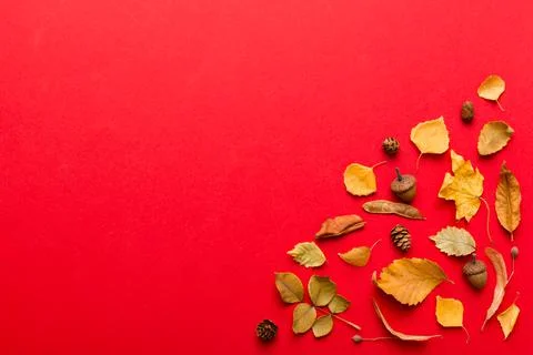 Autumn composition. Pattern made of dried leaves and other design accessories Stock Photos