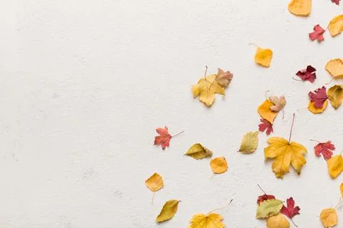 Autumn composition. Pattern made of dried leaves and other design accessories 写真素材