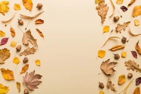 Autumn composition. Pattern made of dried leaves and other design accessories Stock Photos
