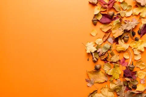 Autumn composition. Pattern made of dried leaves and other design accessories Foto stock