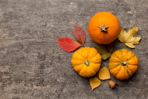 Autumn composition. Pattern made of dried leaves and other design accessories Stock Photos