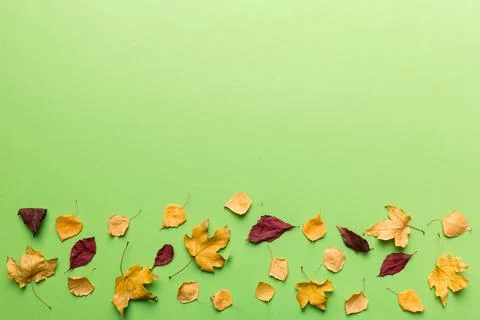 Autumn composition. Pattern made of dried leaves and other design accessories Foto stock