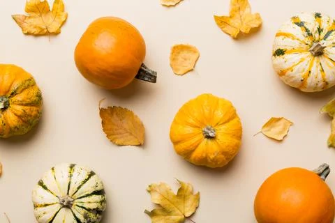 Autumn composition. Pattern made of dried leaves and other design accessories Stock Photos