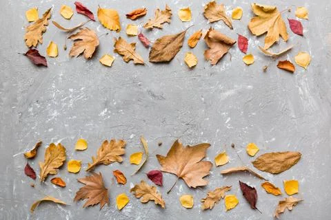 Autumn composition. Pattern made of dried leaves and other design accessories 写真素材