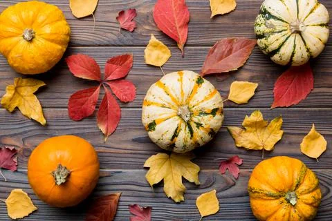 Autumn composition. Pattern made of dried leaves and other design accessories Stock Photos