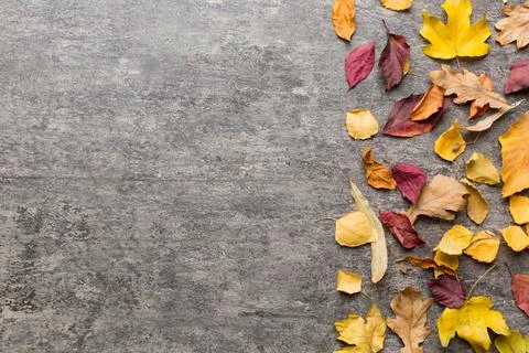 Autumn composition. Pattern made of dried leaves and other design accessories Foto stock