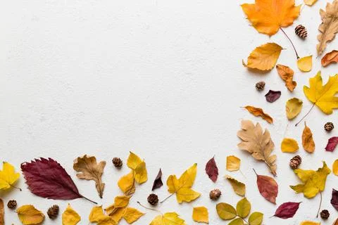 Autumn composition. Pattern made of dried leaves and other design accessories 写真素材
