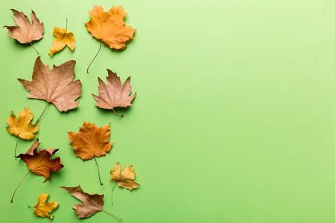 Autumn composition. Pattern made of dried leaves and other design accessories Foto stock